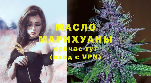гидропоника Медногорск