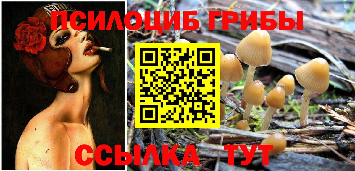 МЕТАДОН Соликамск
