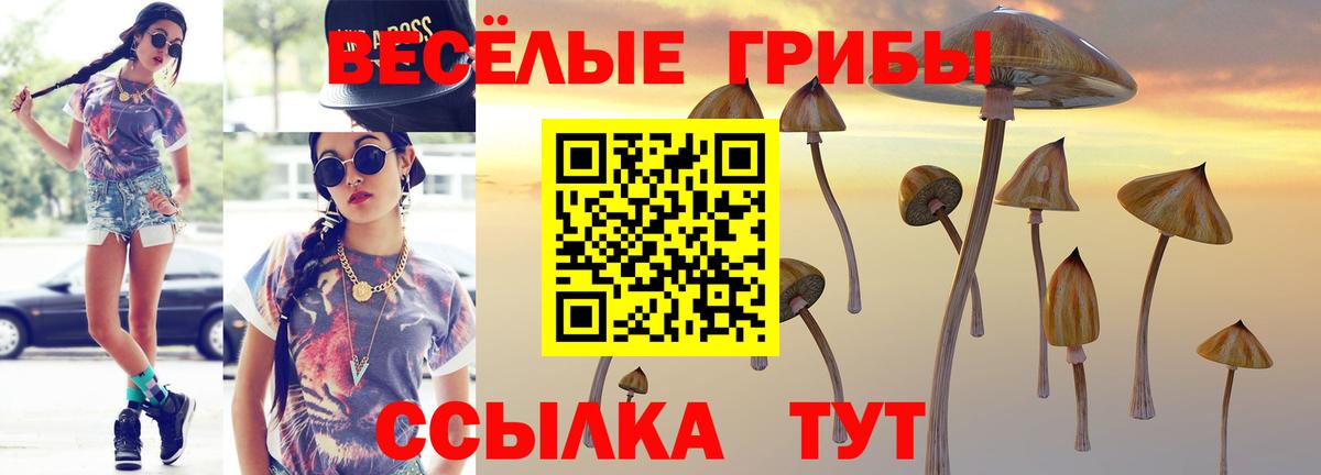 цена   Вход с VPN  Соликамск  Галлюциногенные грибы прущие грибы 
