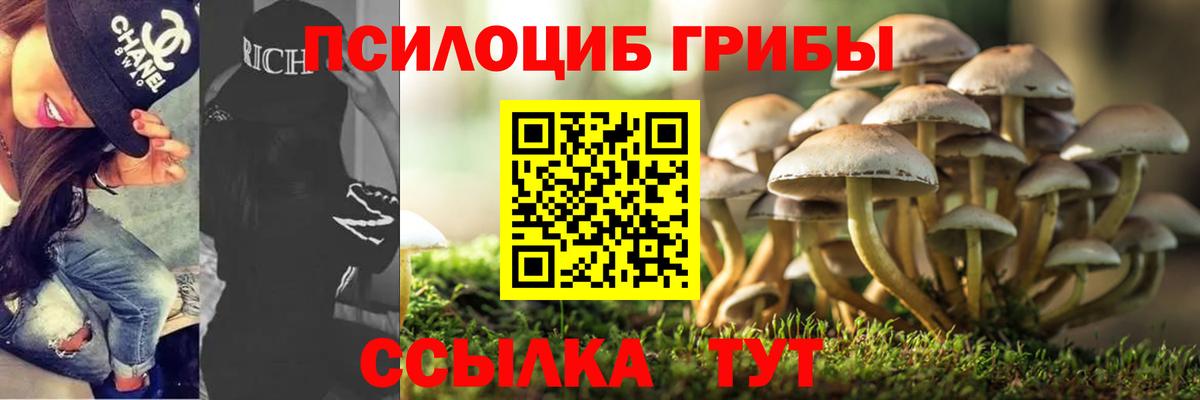 Псилоцибиновые грибы GOLDEN TEACHER Соликамск
